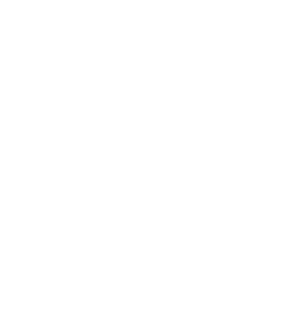Novo